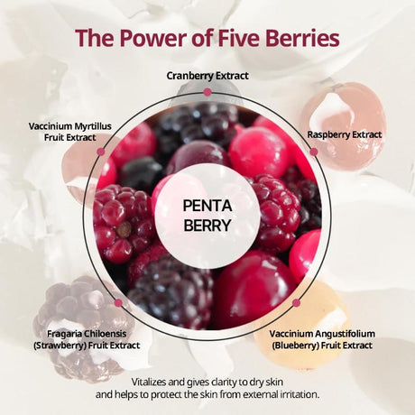 [HEVEBLUE] Penta Berry Panthenol Repair Lip Treatment